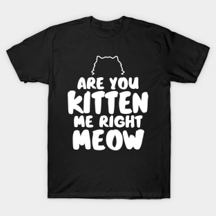 Are You Kitten Me Right Meow T-Shirt